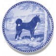 Karelian Bear Dog